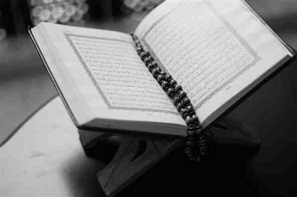 Kur'an-ı Kerim Okumayı Geliştirme Atölyesi 1