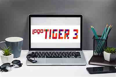Logo Tiger 3 Enterprise ile Ön Muhasebe Uygulamaları
