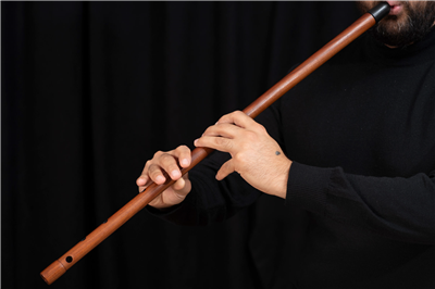 Dilsiz Kaval Gelişim B2