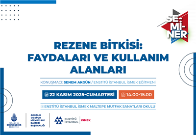 REZENENİN KULLANIM ALANLARINI VE FAYDALARINI ÖĞRENMEYE NE DERSİNİZ?